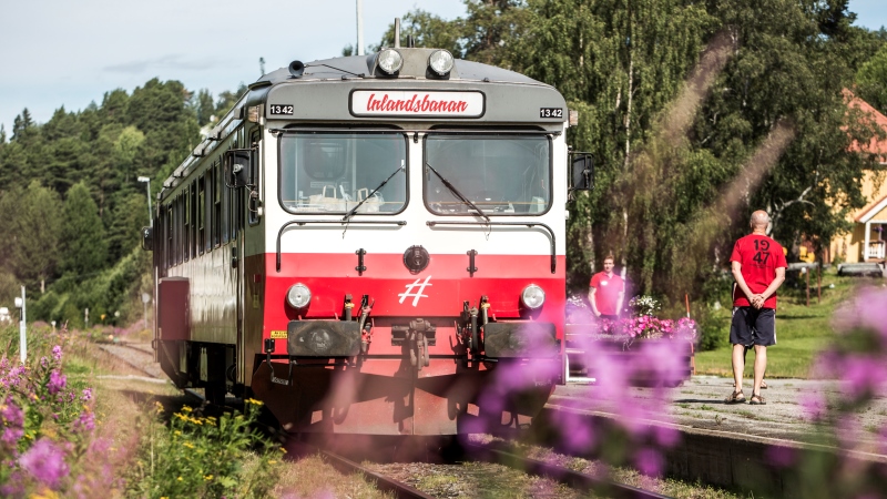 Inlandsbanen fra Värmland til Lapland, midnatssol over Polarcirklen